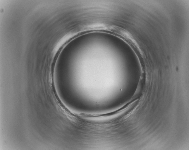 X0000070411328200606161401