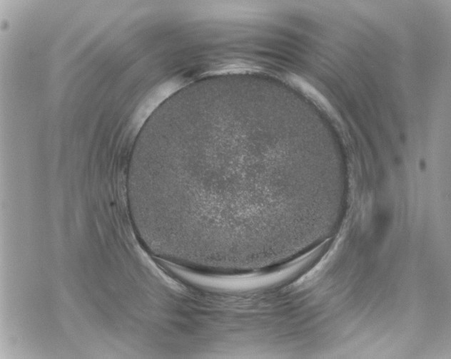 X0000070411329200606161401