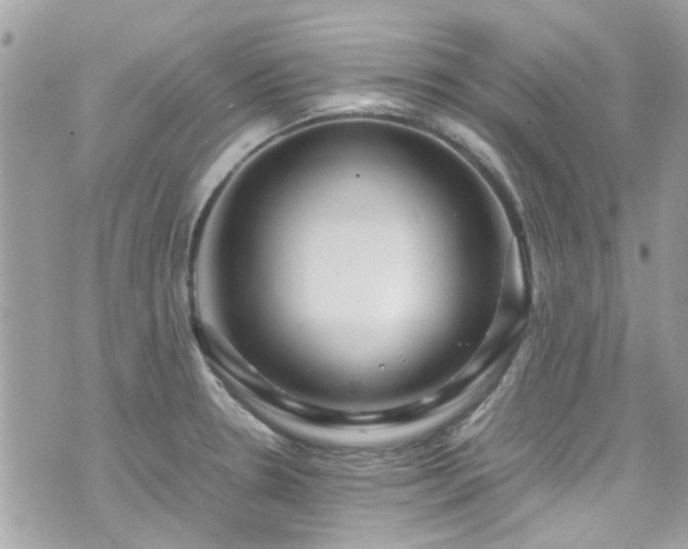 X0000070411330200606161401