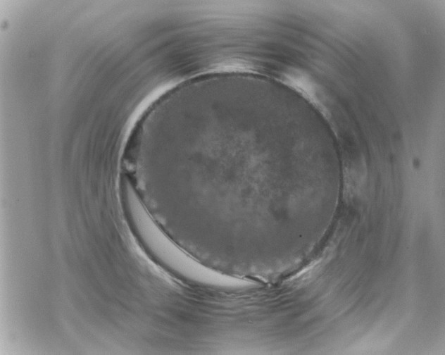 X0000070411331200606161401