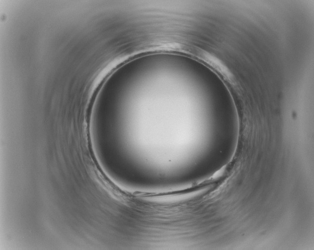 X0000070411332200606161401