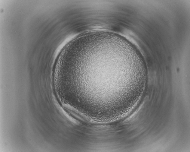 X0000070411333200606161401