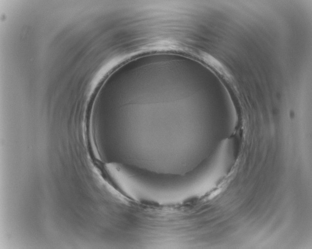 X0000070411334200606161401