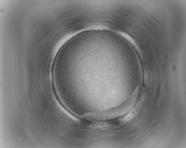 X0000070411335200606161401