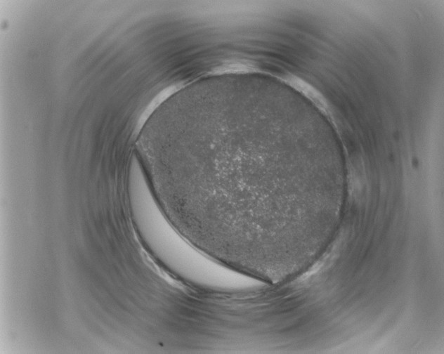 X0000070411337200606161401