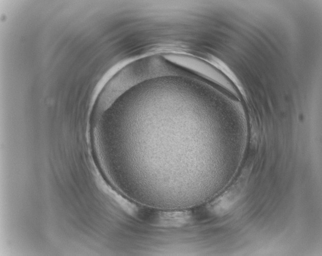 X0000070411339200606161401