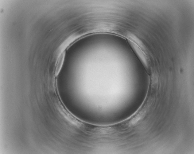 X0000070411340200606161401