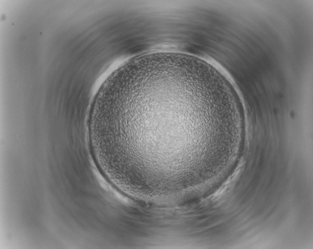 X0000070411341200606161401