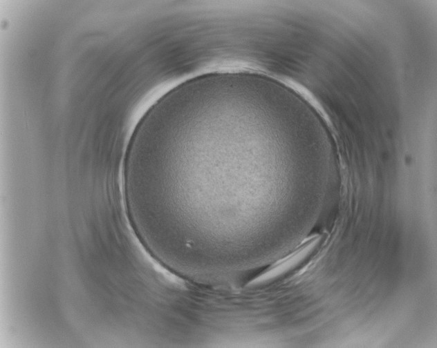 X0000070411343200606161401