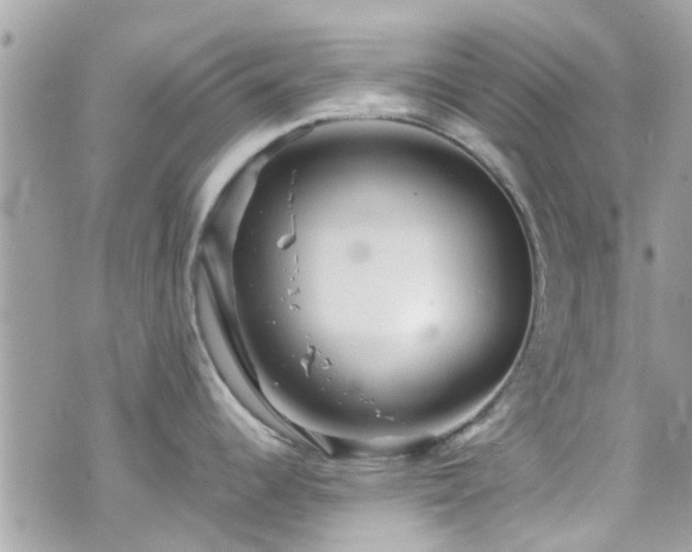 X0000070411344200606161401