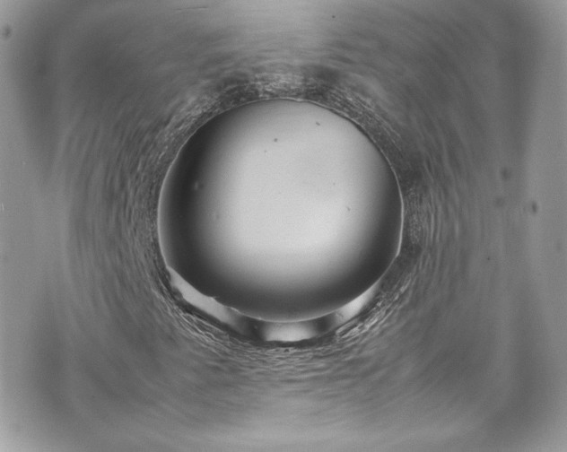 X0000070411345200606161401