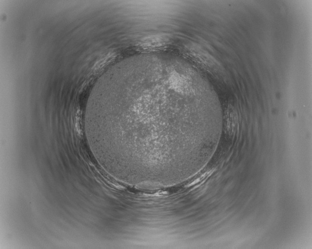 X0000070411346200606161401