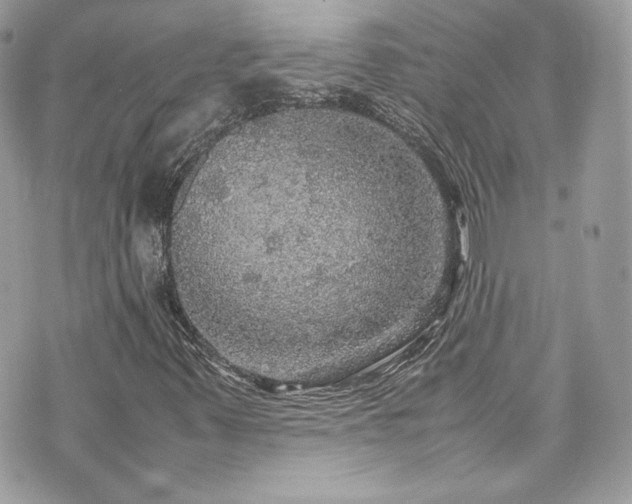 X0000070411347200606161401