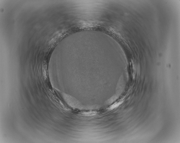 X0000070411348200606161401