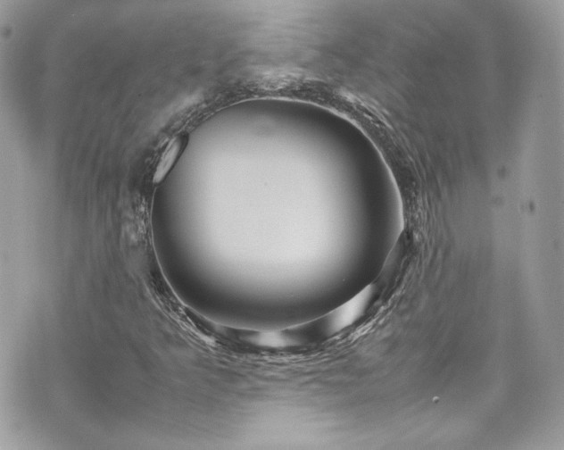 X0000070411349200606161400