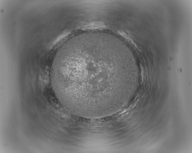 X0000070411350200606161400