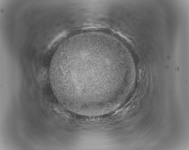 X0000070411351200606161400