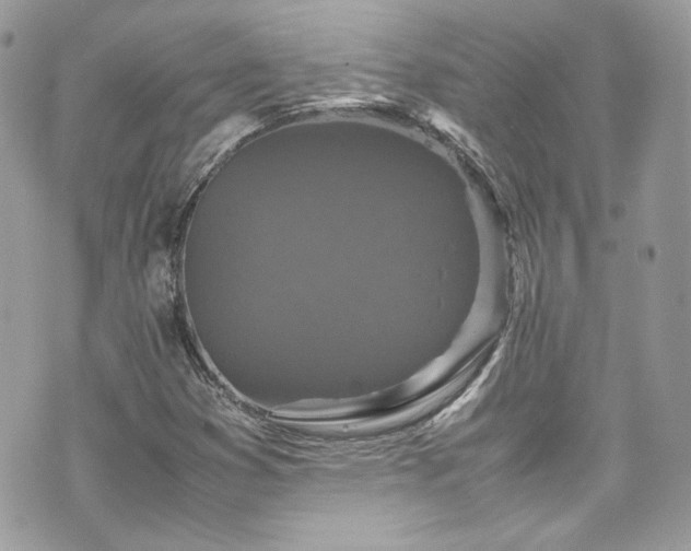 X0000070411353200606161400