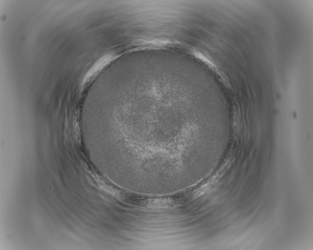 X0000070411354200606161400