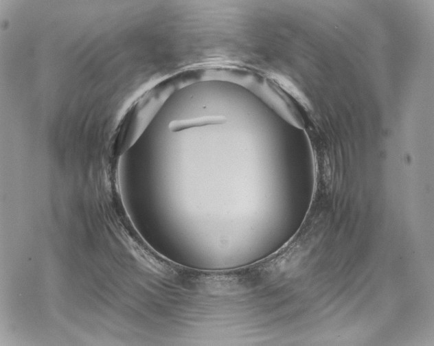 X0000070411356200606161400