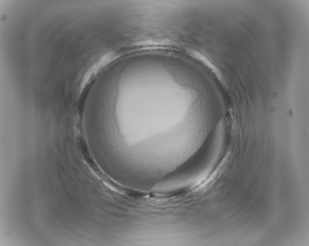 X0000070411357200606161400