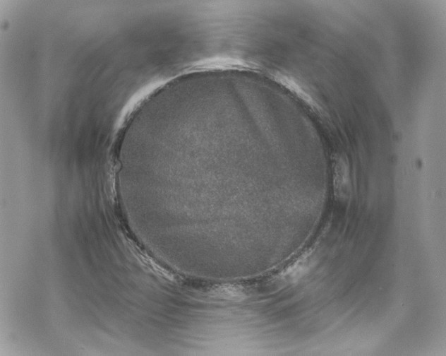 X0000070411358200606161400