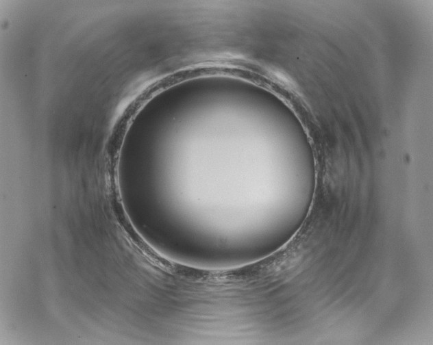 X0000070411360200606161400