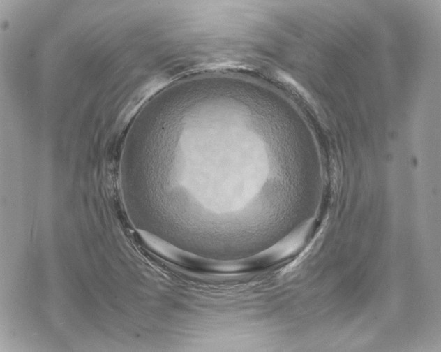 X0000070411361200606161400