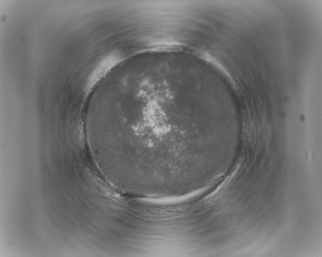 X0000070411362200606161400