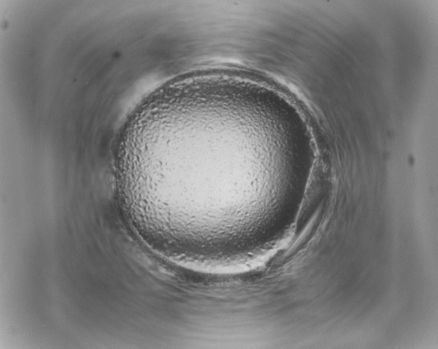 X0000070411363200606161400