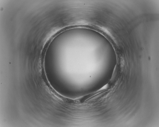 X0000070411364200606161400