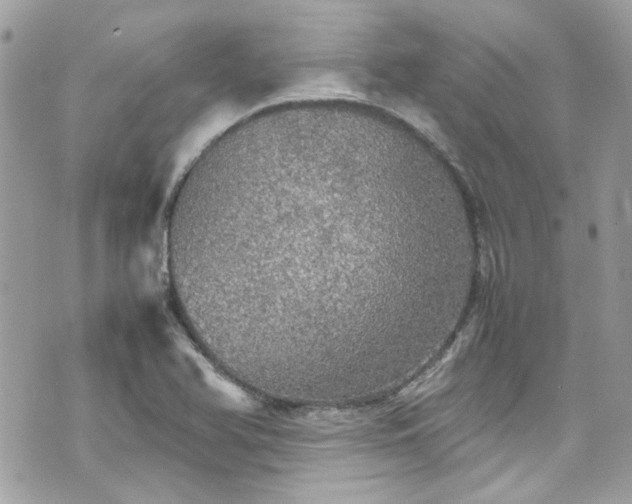 X0000070411366200606161400