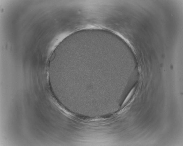 X0000070411367200606161400