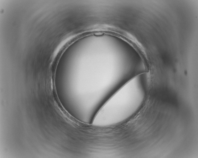 X0000070411368200606161400