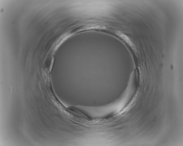 X0000070411369200606161400