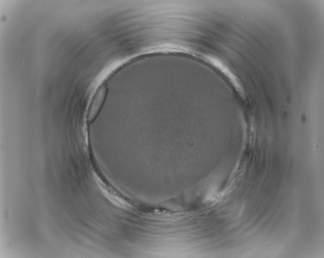 X0000070411372200606161400