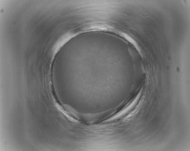 X0000070411373200606161400