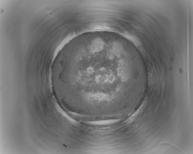 X0000070411374200606161400