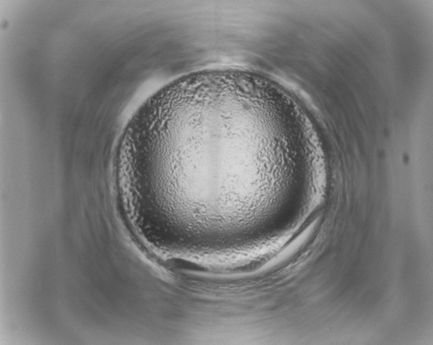 X0000070411375200606161400