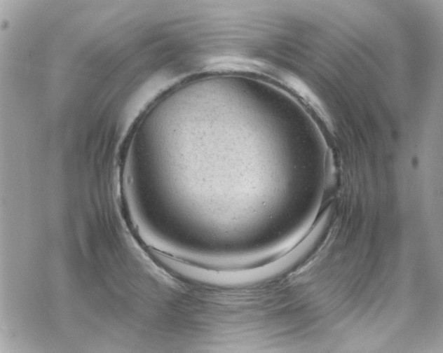 X0000070411376200606161400