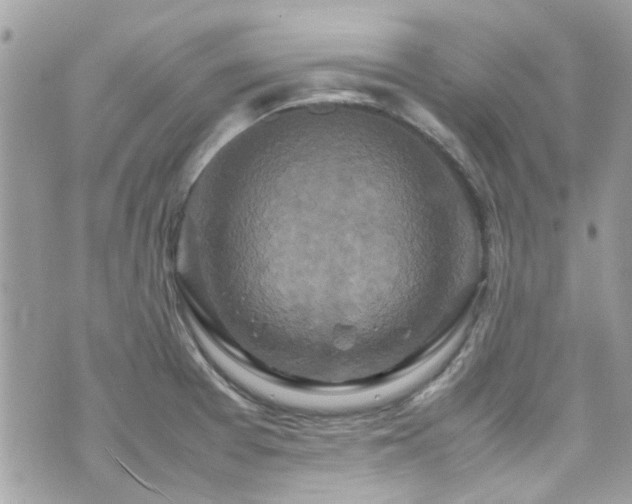 X0000070411377200606161400