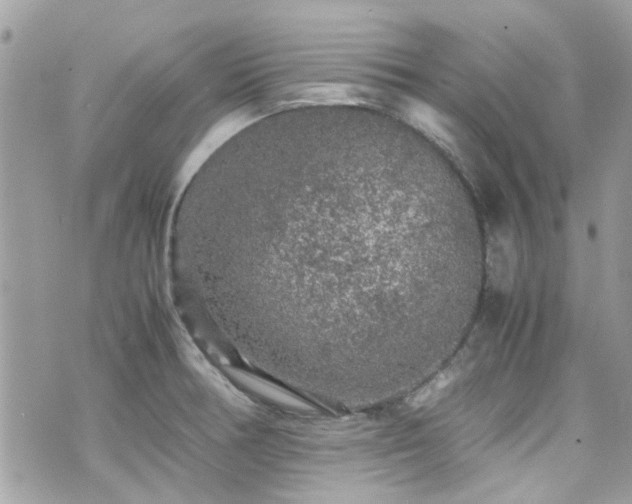 X0000070411378200606161400