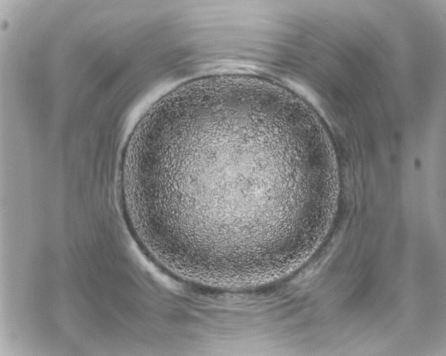 X0000070411379200606161400