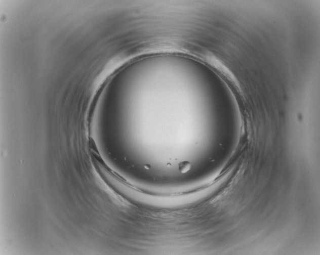 X0000070411380200606161400