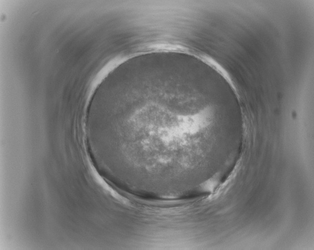 X0000070411381200606161400