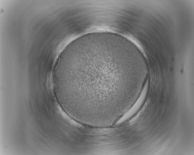 X0000070411382200606161400