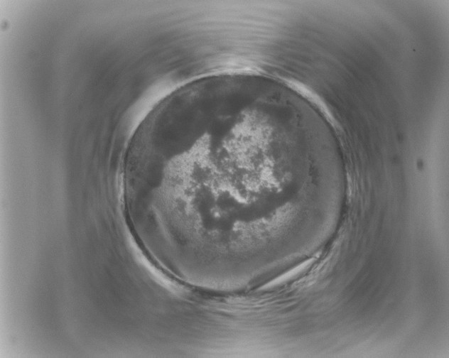 X0000070411383200606161400