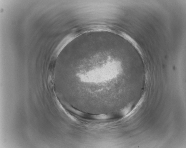 X0000070411385200606161400