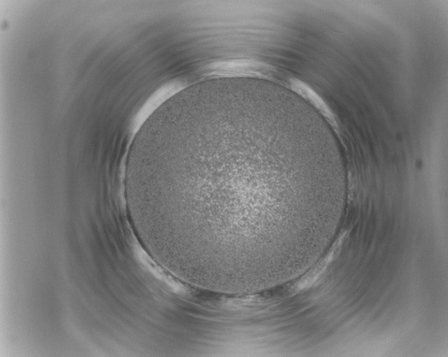 X0000070411386200606161400