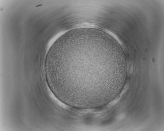 X0000070411387200606161400